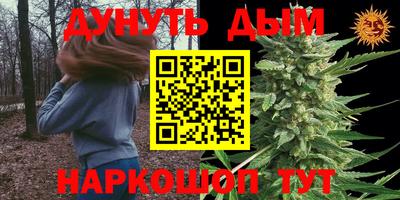 не бодяженный Сланцы