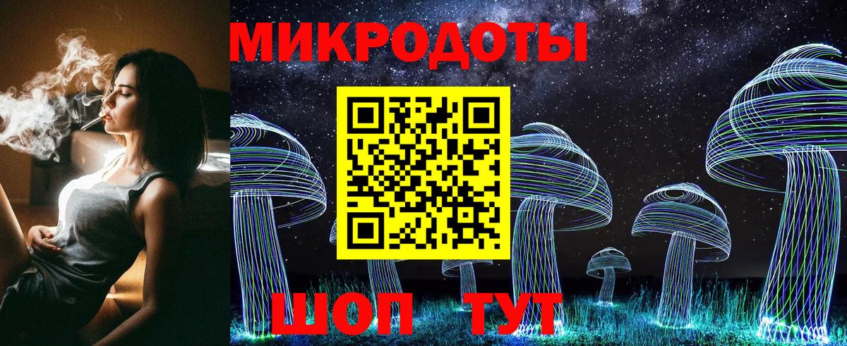 Псилоцибиновые грибы Cubensis Мурманск