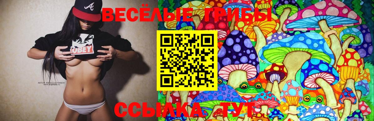 Мурманск  Псилоцибиновые грибы GOLDEN TEACHER  купить  цена  Вход с VPN 